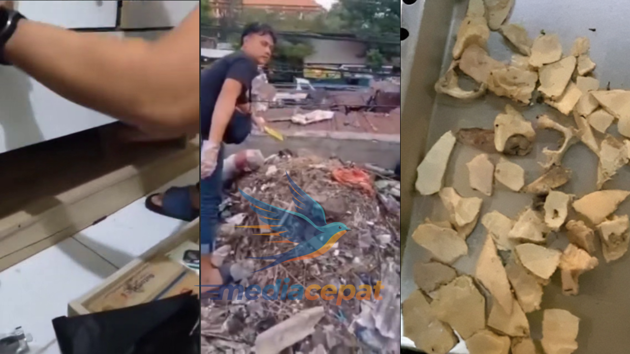 310 Potongan Tubuh & Misteri Mutilasi Mojokerto: Apa Kata Forensik?