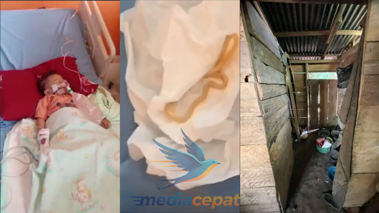 Balita di Bengkulu Muntah 8 Cacing dari Mulut, Ini Peringatan Keras untuk Semua Orang Tua!